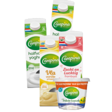 Campina kwark, vla of yoghurt